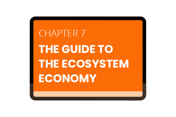 Oranje achtergrond met de teskt 'Chapter 7 The Guide To The Ecosystem Economy'